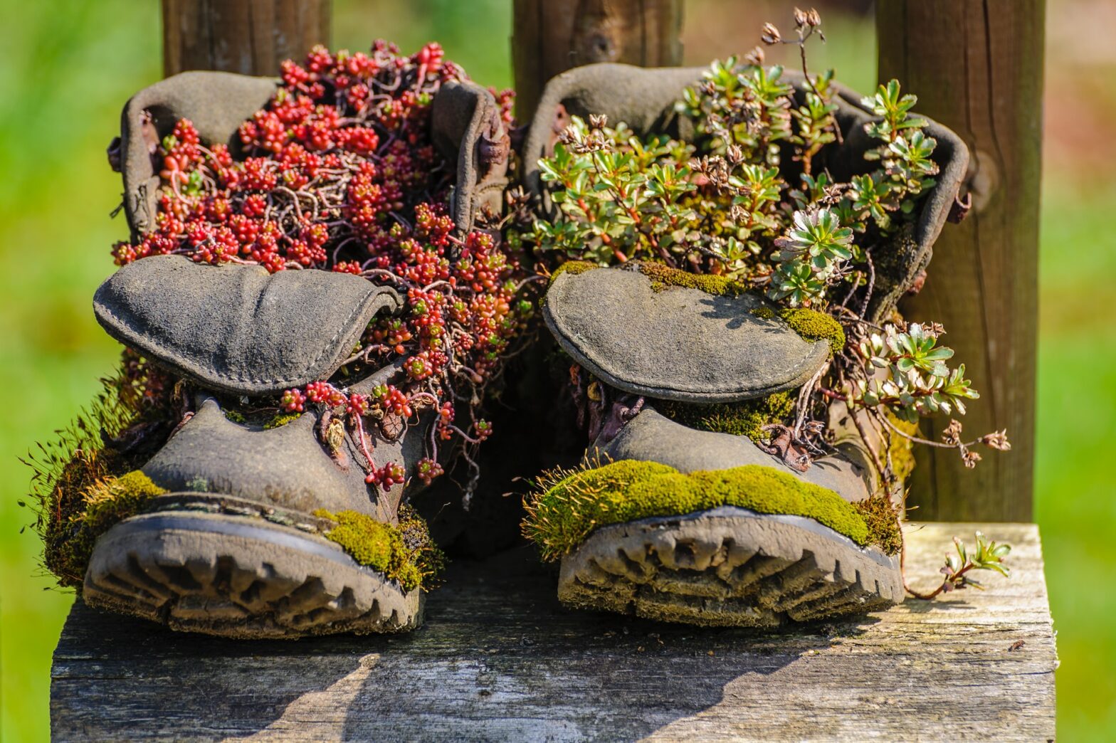 cosa fare con le scarpe vecchie